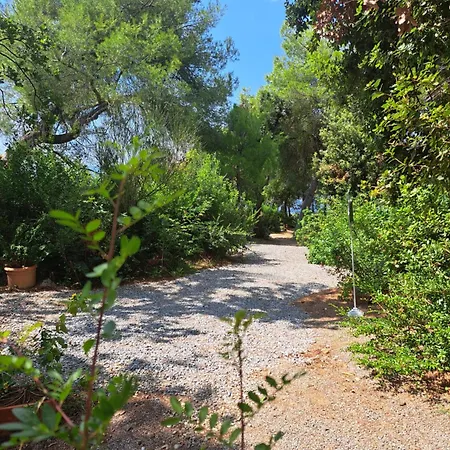 Tenuta Palmieri Only Adult