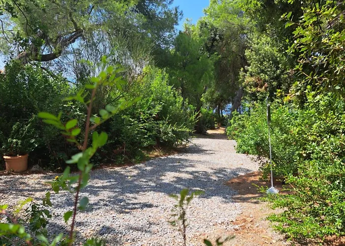 Tenuta Palmieri Only Adult