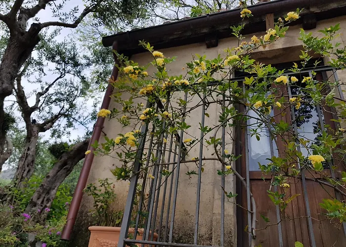 Tenuta Palmieri Only Adult