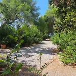 Tenuta Palmieri Only Adult