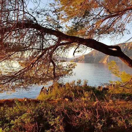 Tenuta Palmieri Only Adult Bed & Breakfast