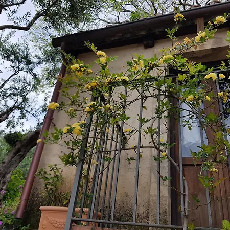 Tenuta Palmieri Only Adult