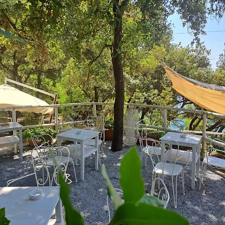 Tenuta Palmieri Only Adult