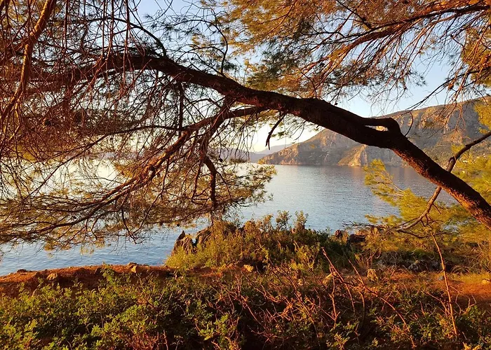 Tenuta Palmieri Only Adult Bed and Breakfast